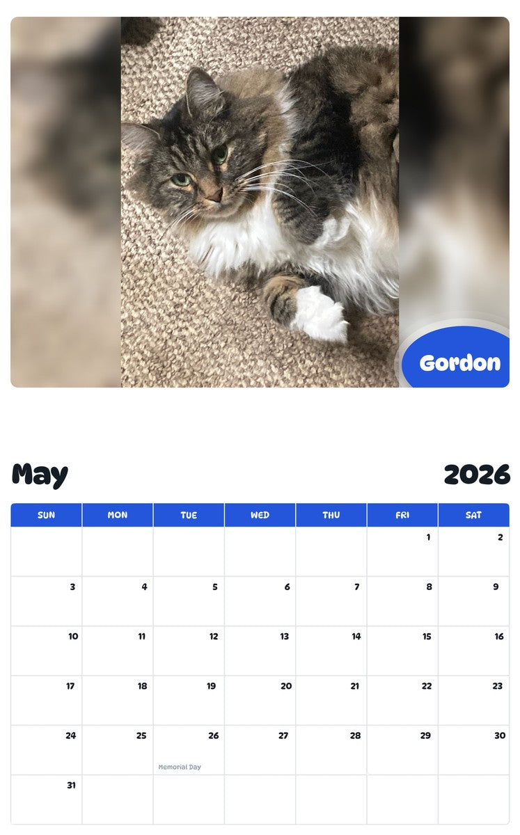 2026 - 2027 Gordon - Pawidols Pet Calendar