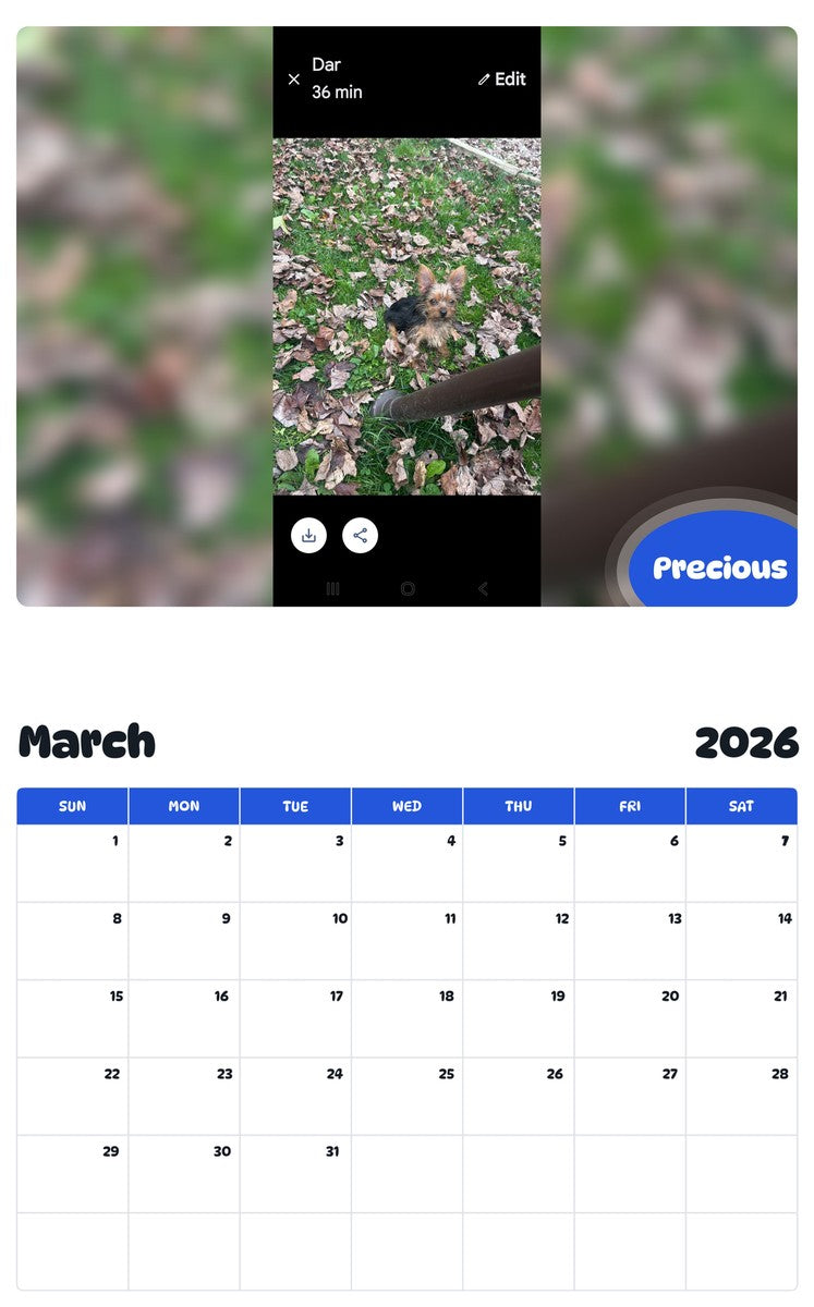 November 2025 - October 2026 Precious - Pawidols Pet Calendar