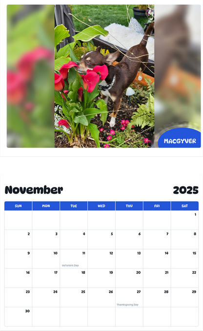 July 2025 - June 2026 MacGyver - Pawidols Pet Calendar