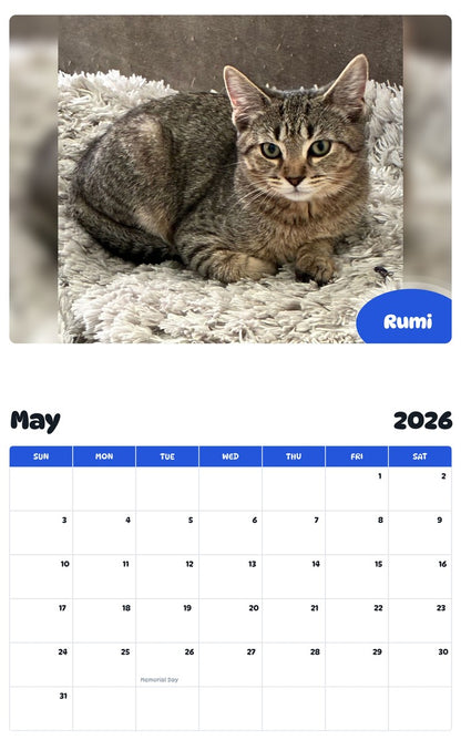 2026 - 2027 Rumi - Pawidols Pet Calendar
