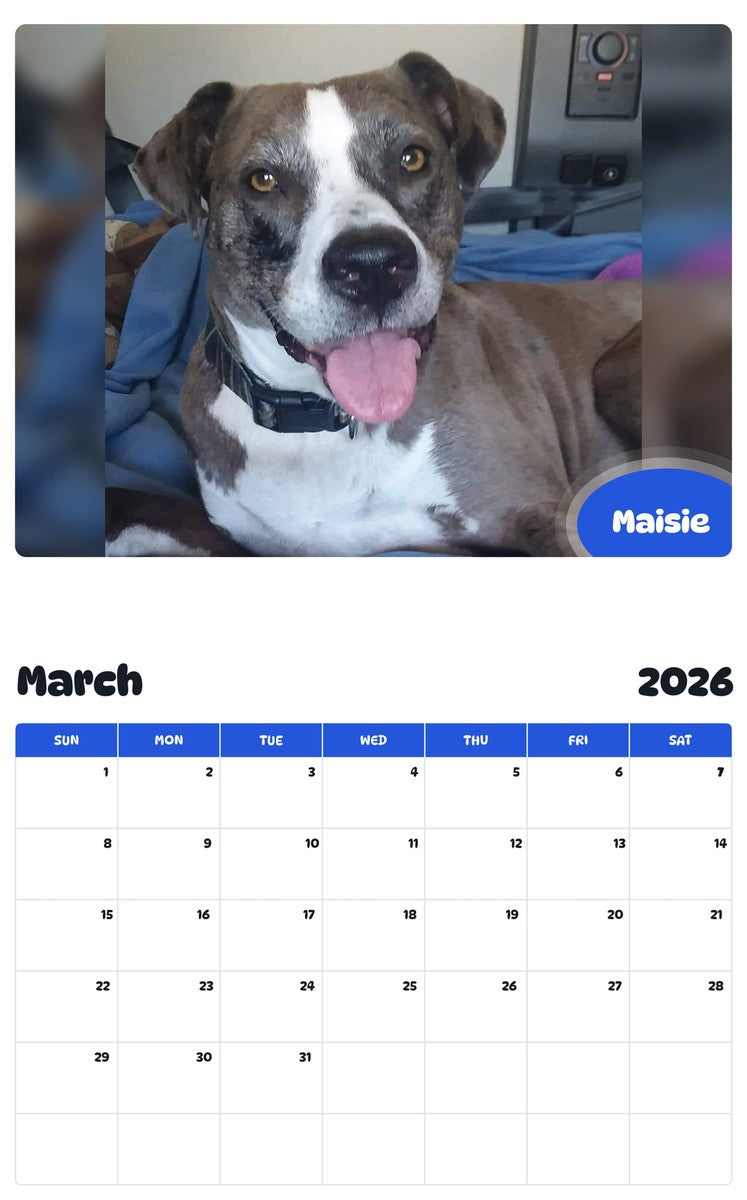 November 2025 - October 2026 Maisie - Pawidols Pet Calendar