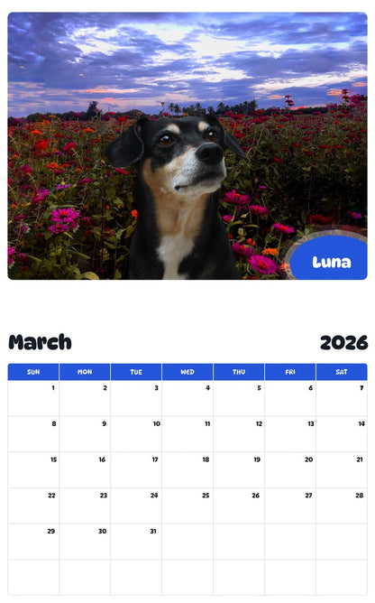 November 2025 - October 2026 Luna - Pawidols Pet Calendar