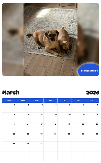 November 2025 - October 2026 Boomer & Winnie - Pawidols Pet Calendar