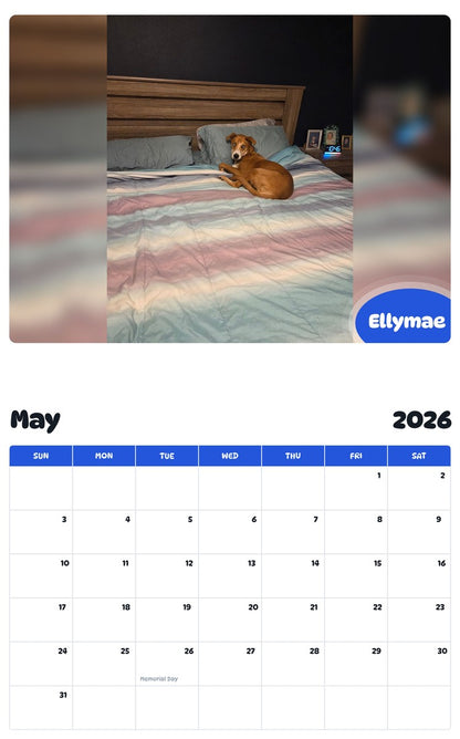 2026 - 2027 Ellymae - Pawidols Pet Calendar
