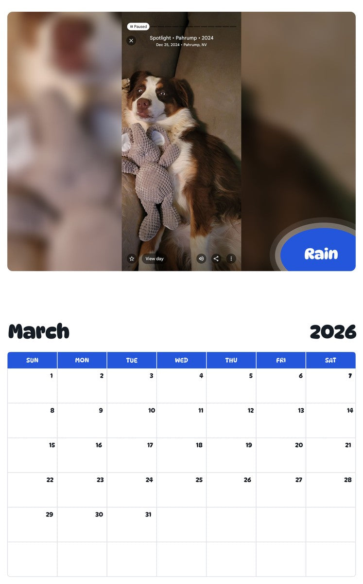 November 2025 - October 2026 Rain - Pawidols Pet Calendar