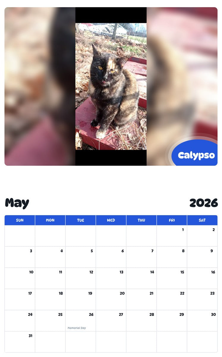 2026 - 2027 Calypso - Pawidols Pet Calendar