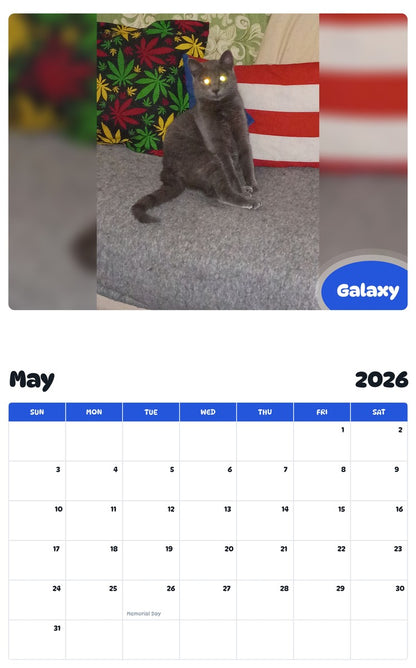 2026 - 2027 Galaxy - Pawidols Pet Calendar