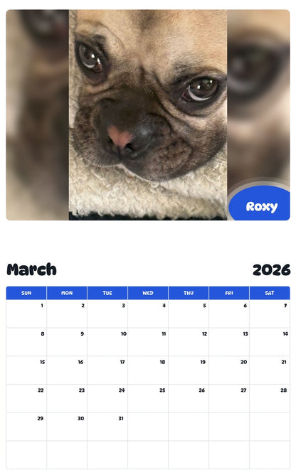November 2025 - October 2026 Roxy - Pawidols Pet Calendar