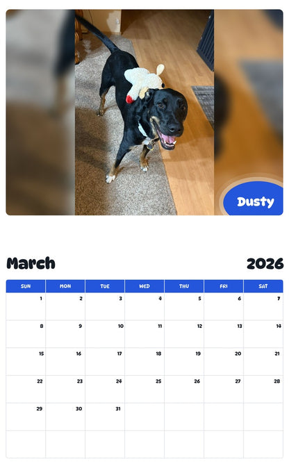 November 2025 - October 2026 Dusty - Pawidols Pet Calendar