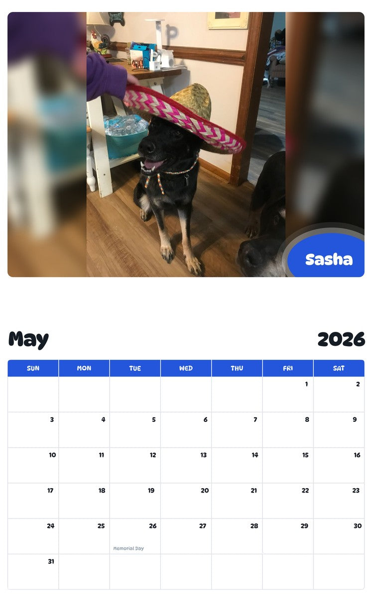 2026 - 2027 Sasha - Pawidols Pet Calendar