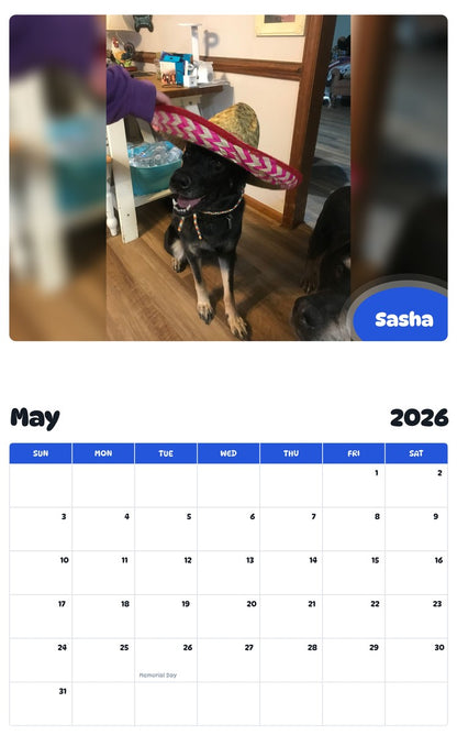 2026 - 2027 Sasha - Pawidols Pet Calendar