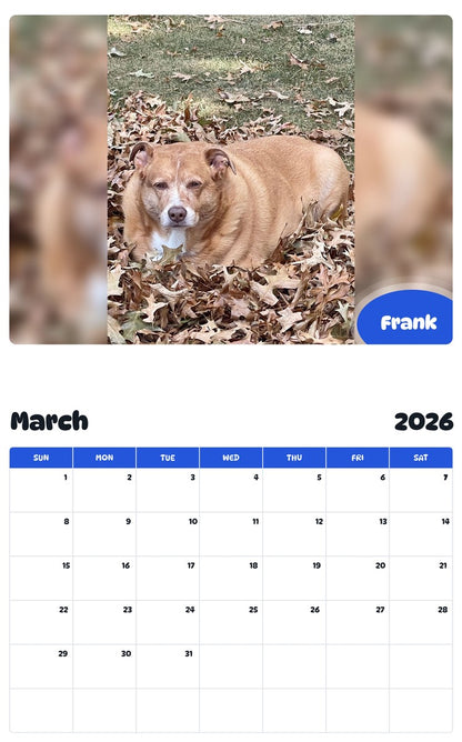 November 2025 - October 2026 Frank - Pawidols Pet Calendar