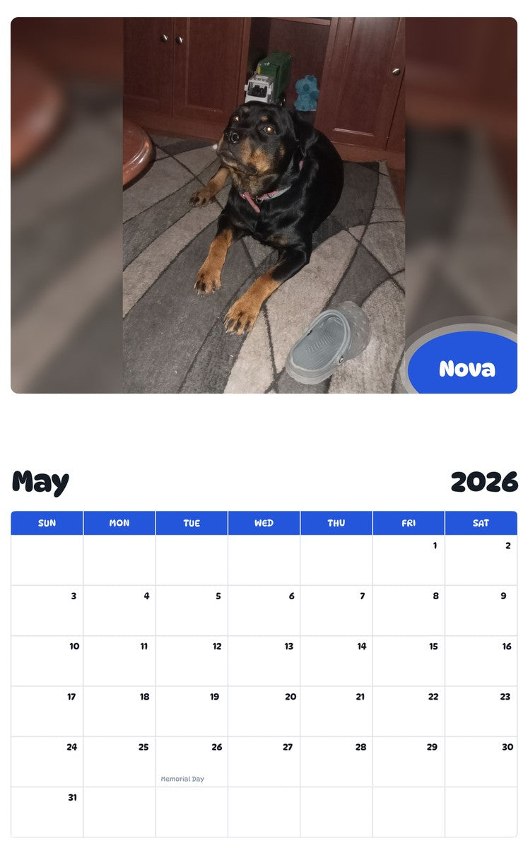 2026 - 2027 Nova - Pawidols Pet Calendar