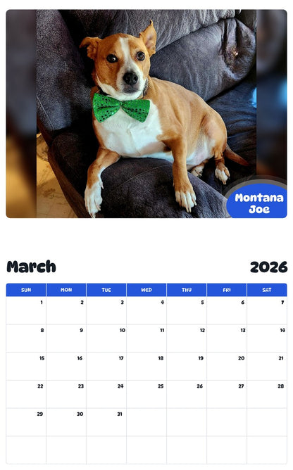 November 2025 - October 2026 Montana Joe - Pawidols Pet Calendar
