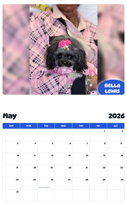 2026 - 2027 BELLA LEWIS - Pawidols Pet Calendar
