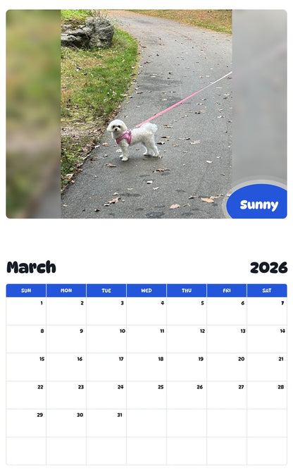 November 2025 - October 2026 Sunny - Pawidols Pet Calendar