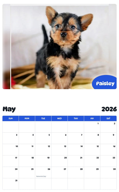 2026 - 2027 Paisley - Pawidols Pet Calendar
