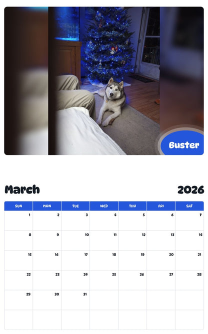 November 2025 - October 2026 Buster - Pawidols Pet Calendar