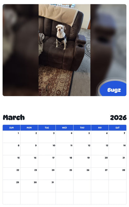 November 2025 - October 2026 Bugz - Pawidols Pet Calendar