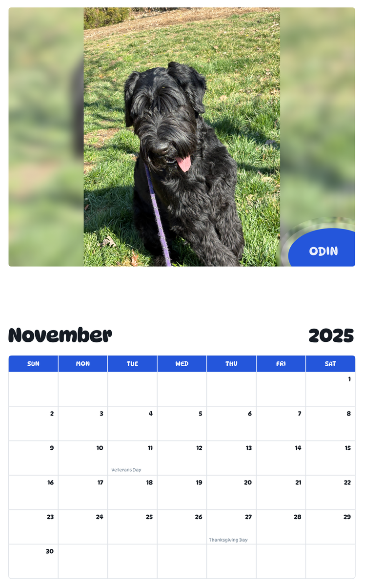 July 2025 - June 2026 Odin - Pawidols Pet Calendar