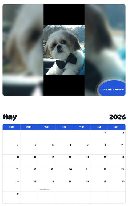 2026 - 2027 Gus a.k.a. Gussie - Pawidols Pet Calendar