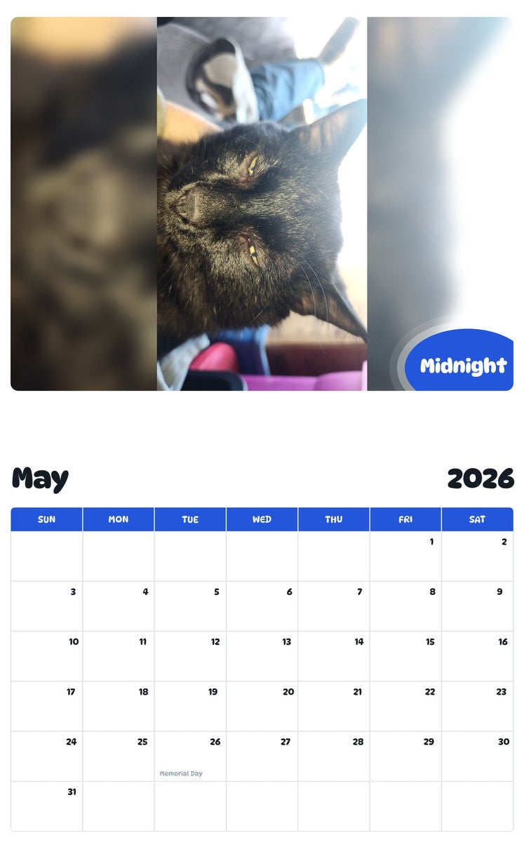 2026 - 2027 Midnight - Pawidols Pet Calendar