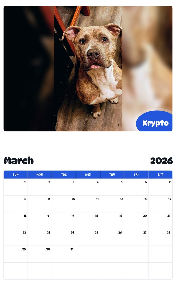 November 2025 - October 2026 Krypto - Pawidols Pet Calendar