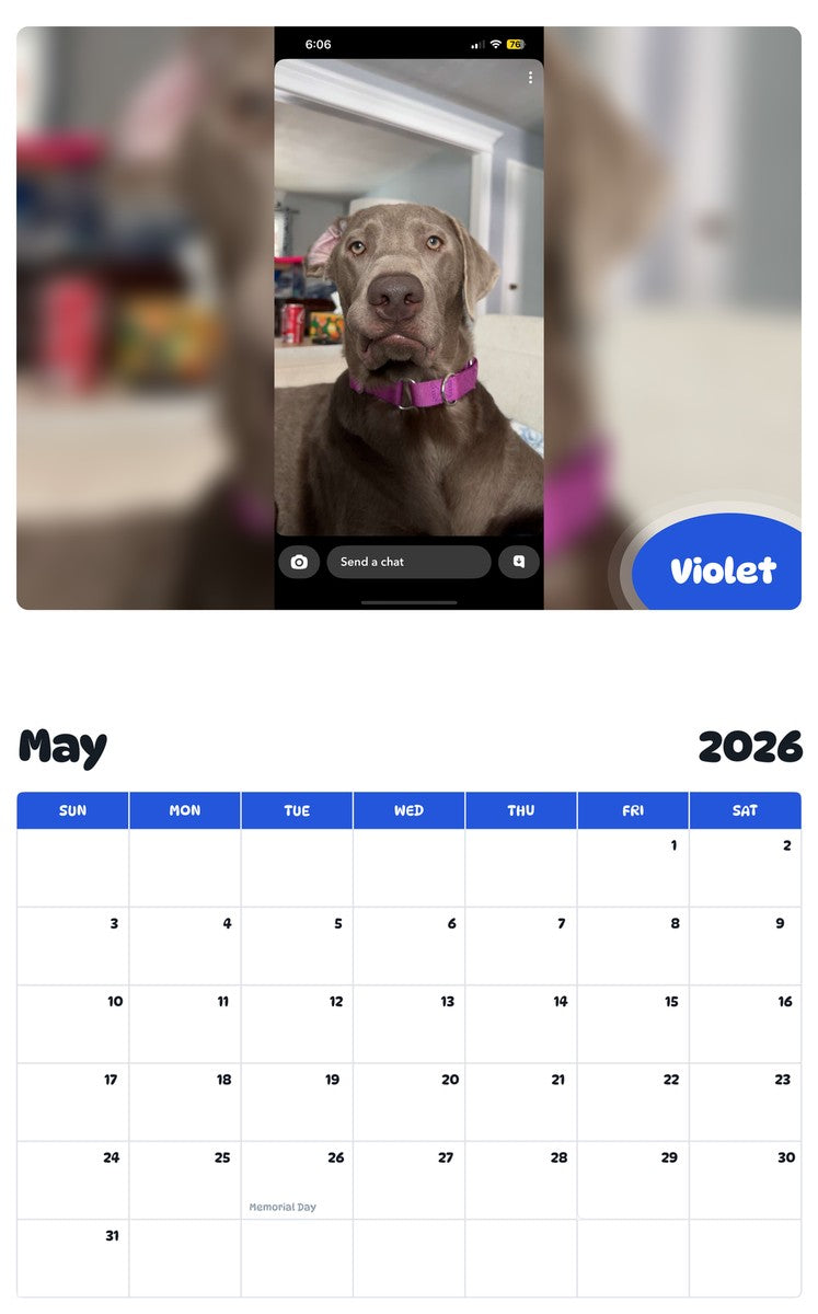 2026 - 2027 Violet - Pawidols Pet Calendar