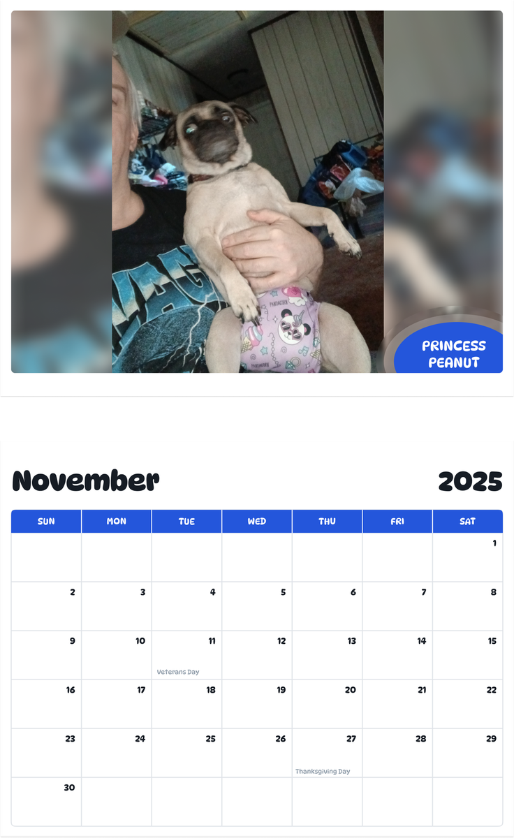 July 2025 - June 2026 Princess Peanut - Pawidols Pet Calendar
