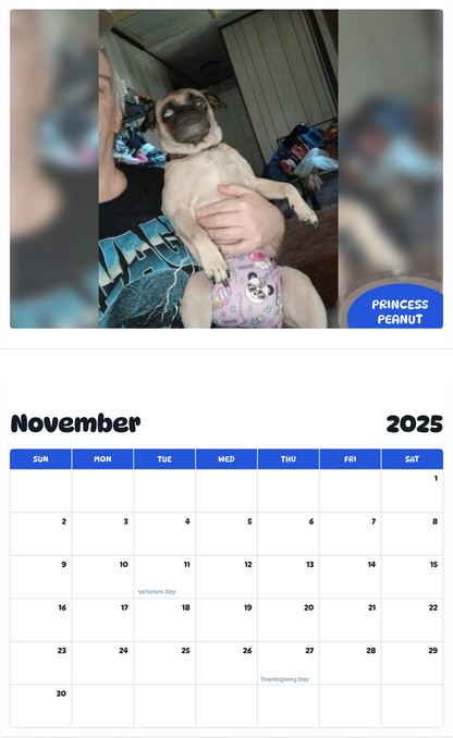 July 2025 - June 2026 Princess Peanut - Pawidols Pet Calendar