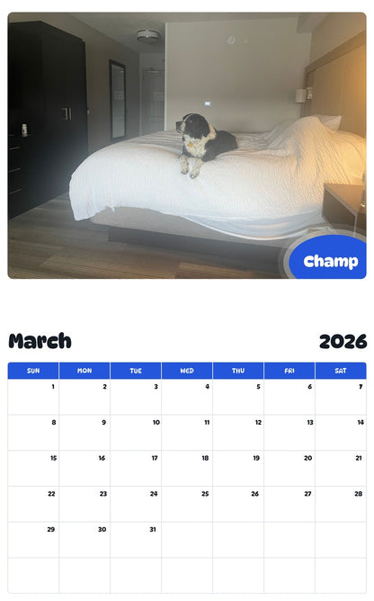November 2025 - October 2026 Champ - Pawidols Pet Calendar