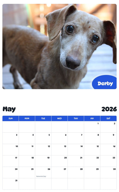 2026 - 2027 Derby - Pawidols Pet Calendar