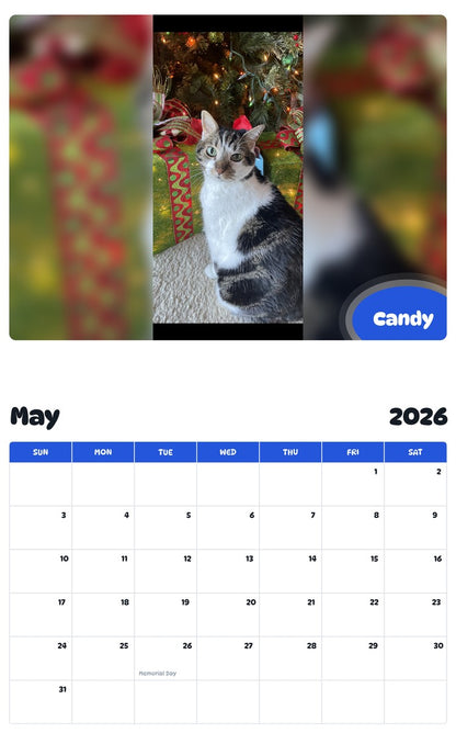 2026 - 2027 Candy - Pawidols Pet Calendar