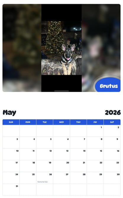 2026 - 2027 Brutus - Pawidols Pet Calendar