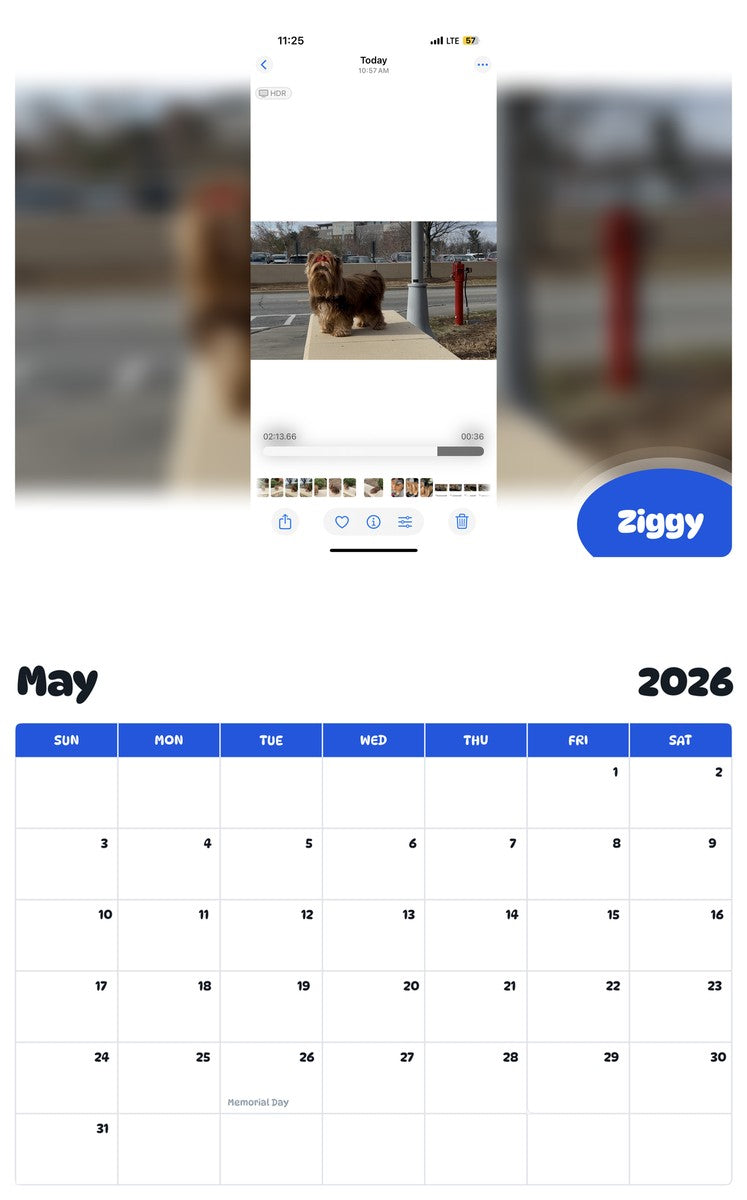 2026 - 2027 Ziggy - Pawidols Pet Calendar