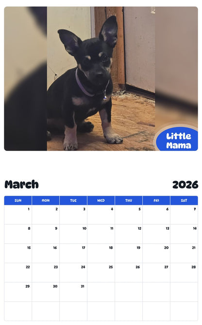 November 2025 - October 2026 Little Mama - Pawidols Pet Calendar