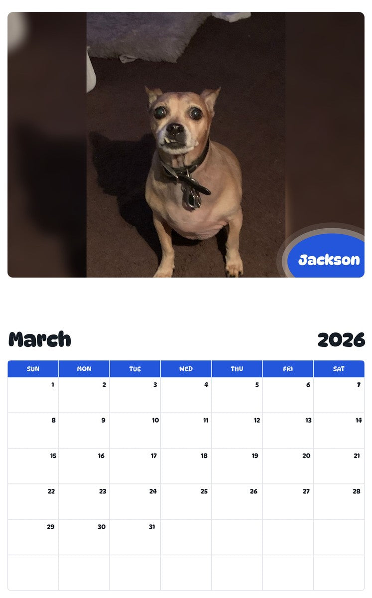 November 2025 - October 2026 Jackson - Pawidols Pet Calendar
