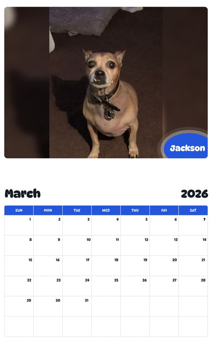 November 2025 - October 2026 Jackson - Pawidols Pet Calendar