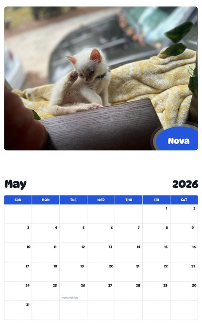 2026 - 2027 Nova - Pawidols Pet Calendar
