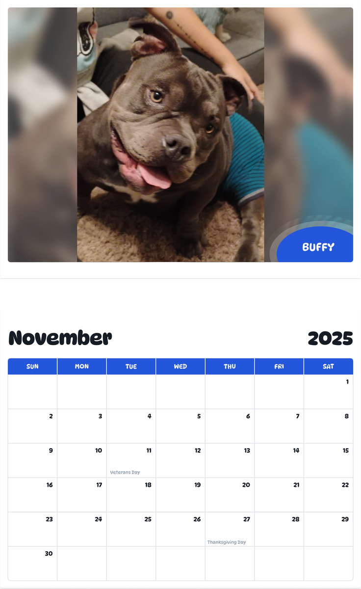 July 2025 - June 2026 Buffy - Pawidols Pet Calendar