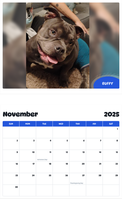 July 2025 - June 2026 Buffy - Pawidols Pet Calendar