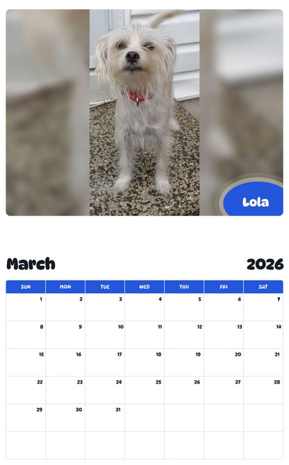 November 2025 - October 2026 Lola - Pawidols Pet Calendar