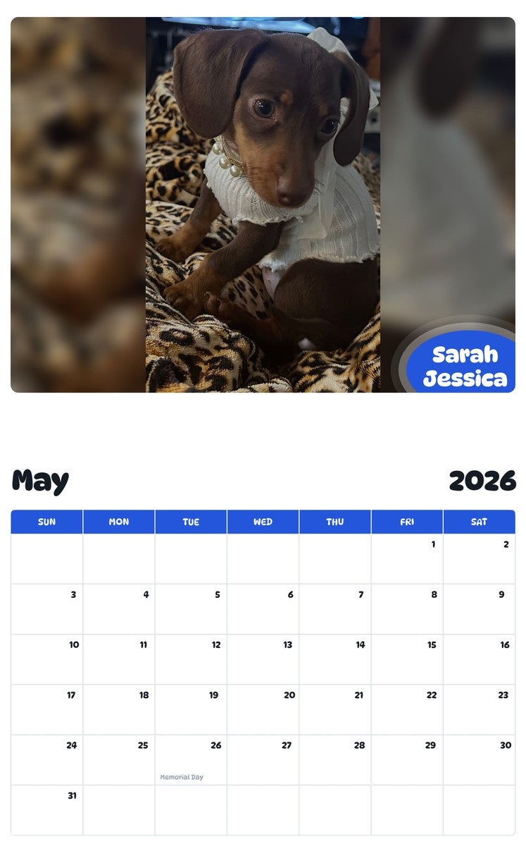 2026 - 2027 Sarah Jessica - Pawidols Pet Calendar
