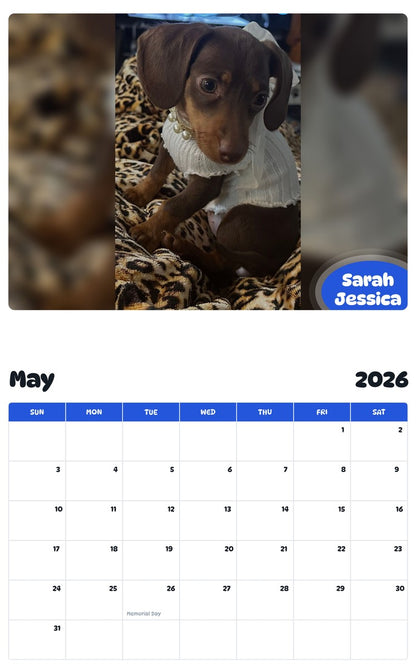 2026 - 2027 Sarah Jessica - Pawidols Pet Calendar