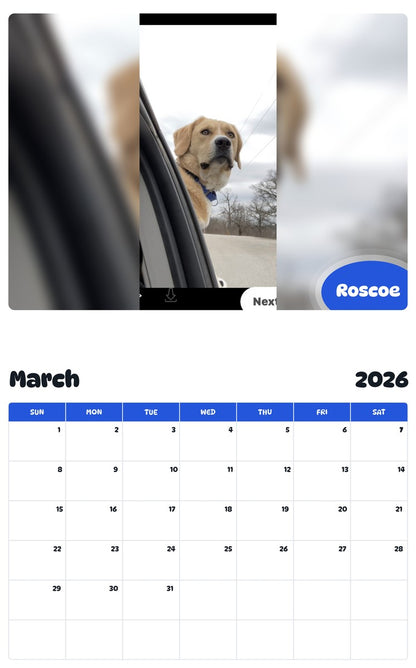 November 2025 - October 2026 Roscoe - Pawidols Pet Calendar