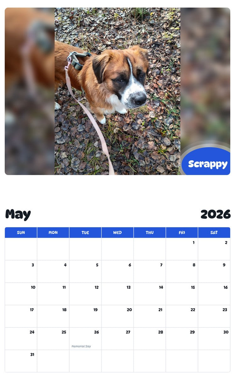 2026 - 2027 Scrappy - Pawidols Pet Calendar