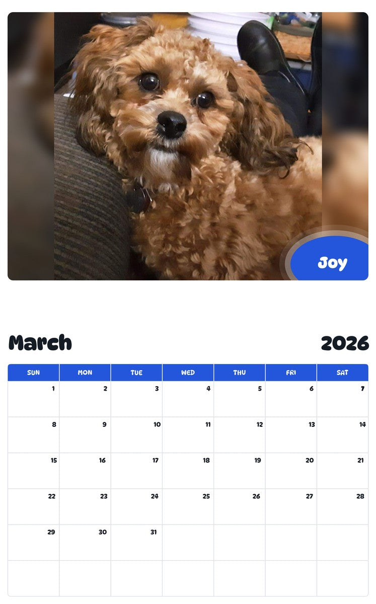 November 2025 - October 2026 Joy - Pawidols Pet Calendar