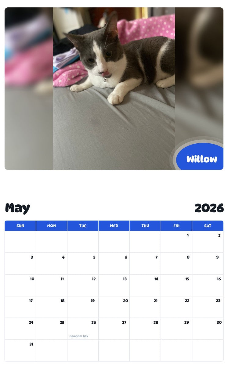 2026 - 2027 Willow - Pawidols Pet Calendar