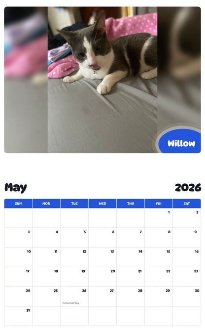 2026 - 2027 Willow - Pawidols Pet Calendar