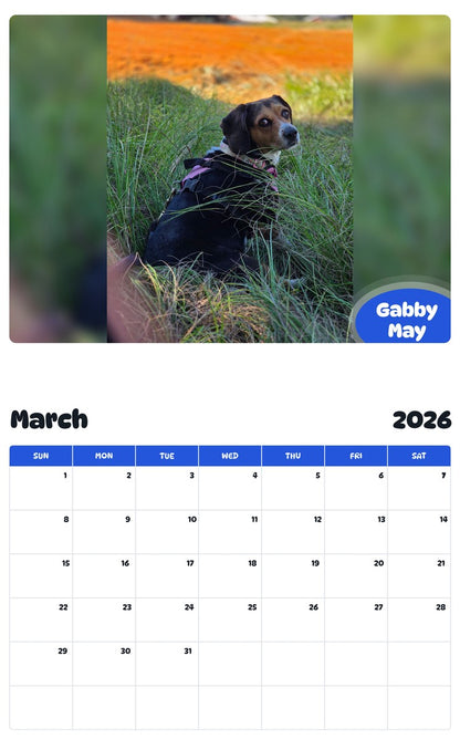 November 2025 - October 2026 Gabby May - Pawidols Pet Calendar